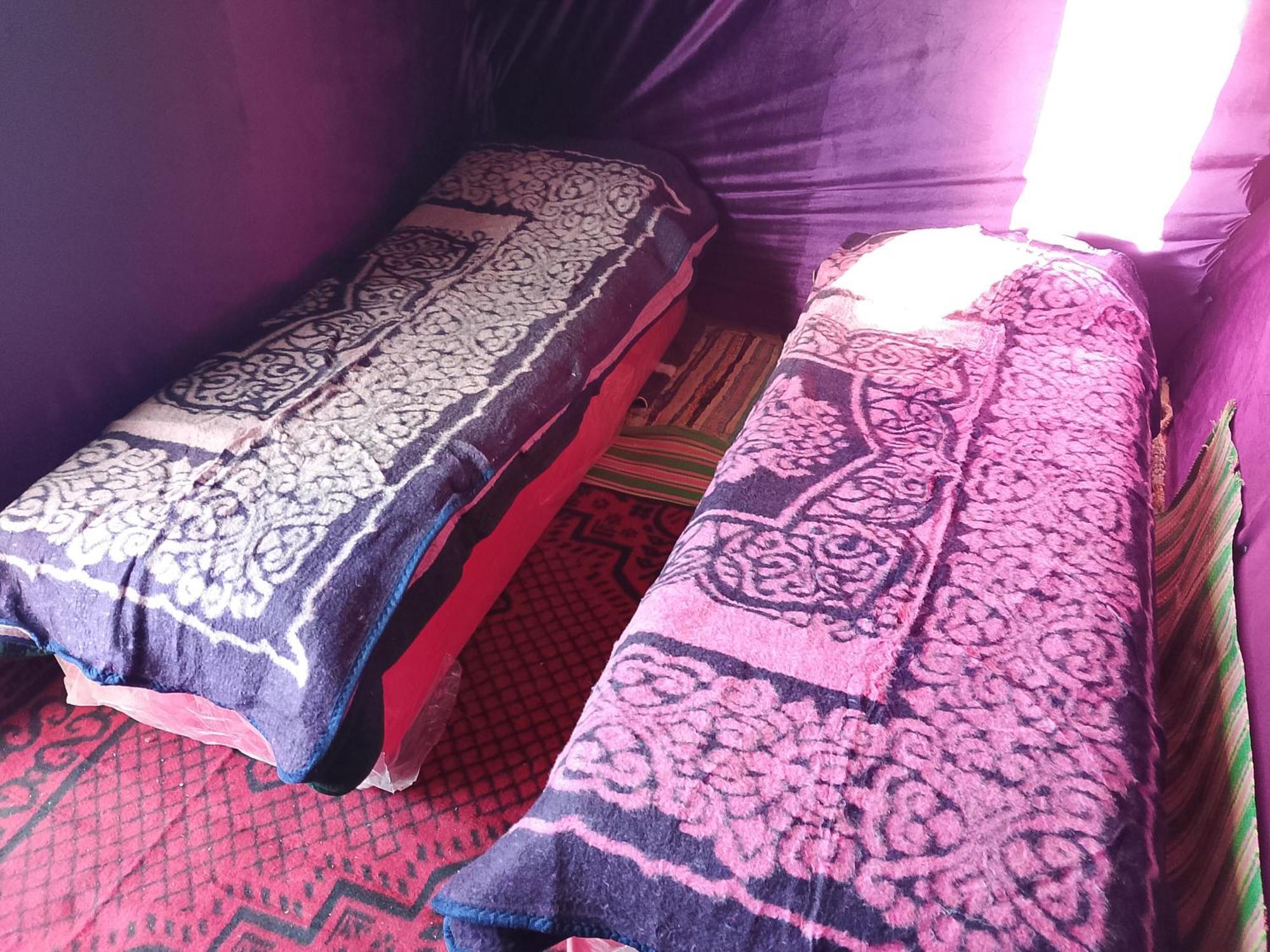 Luxury tent Travel Oasis Camp