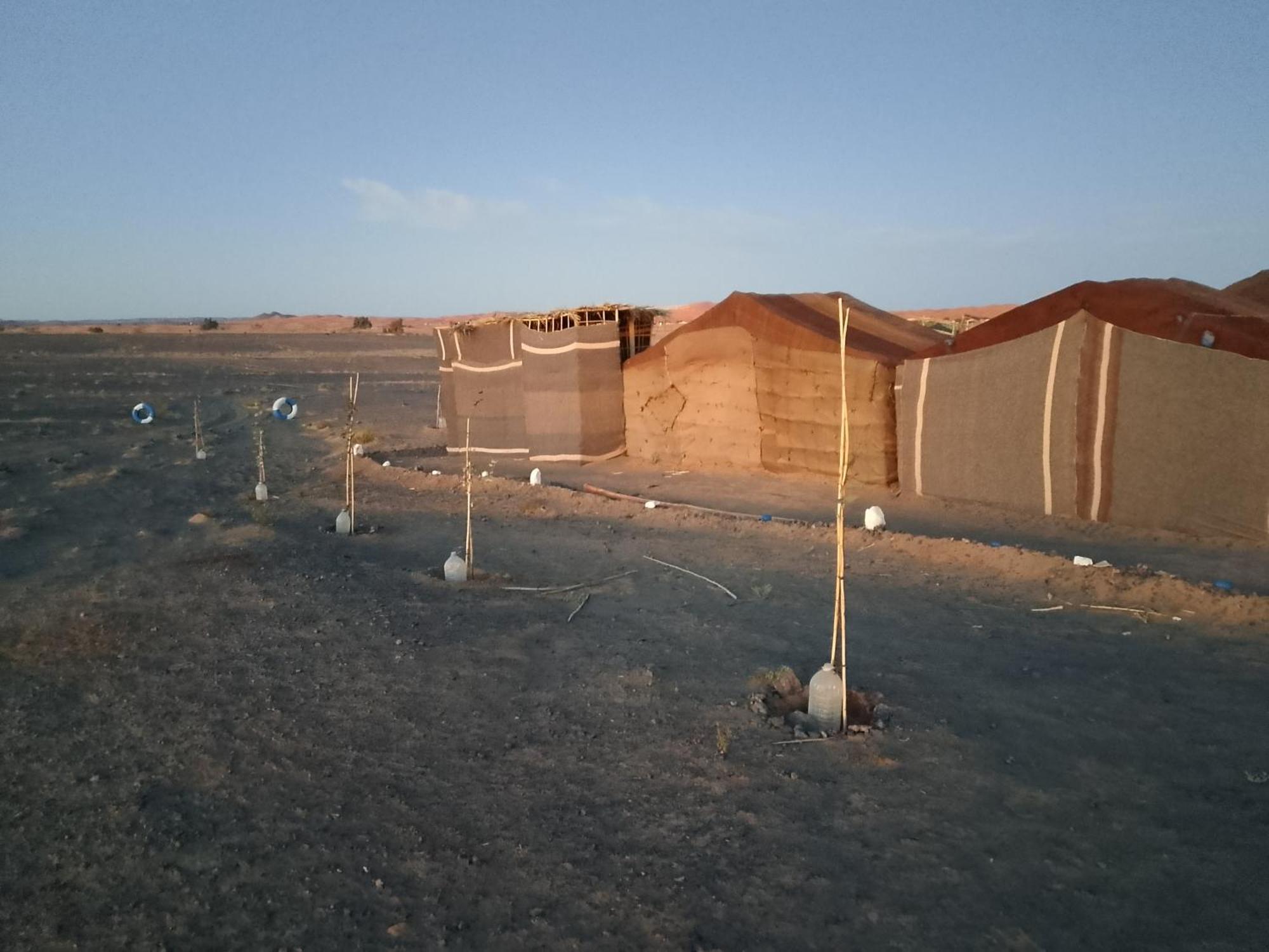 Luxury tent Travel Oasis Camp Merzouga